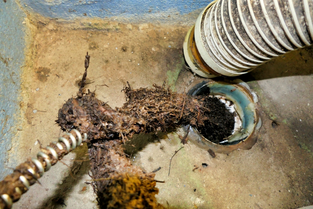 drain clog removal