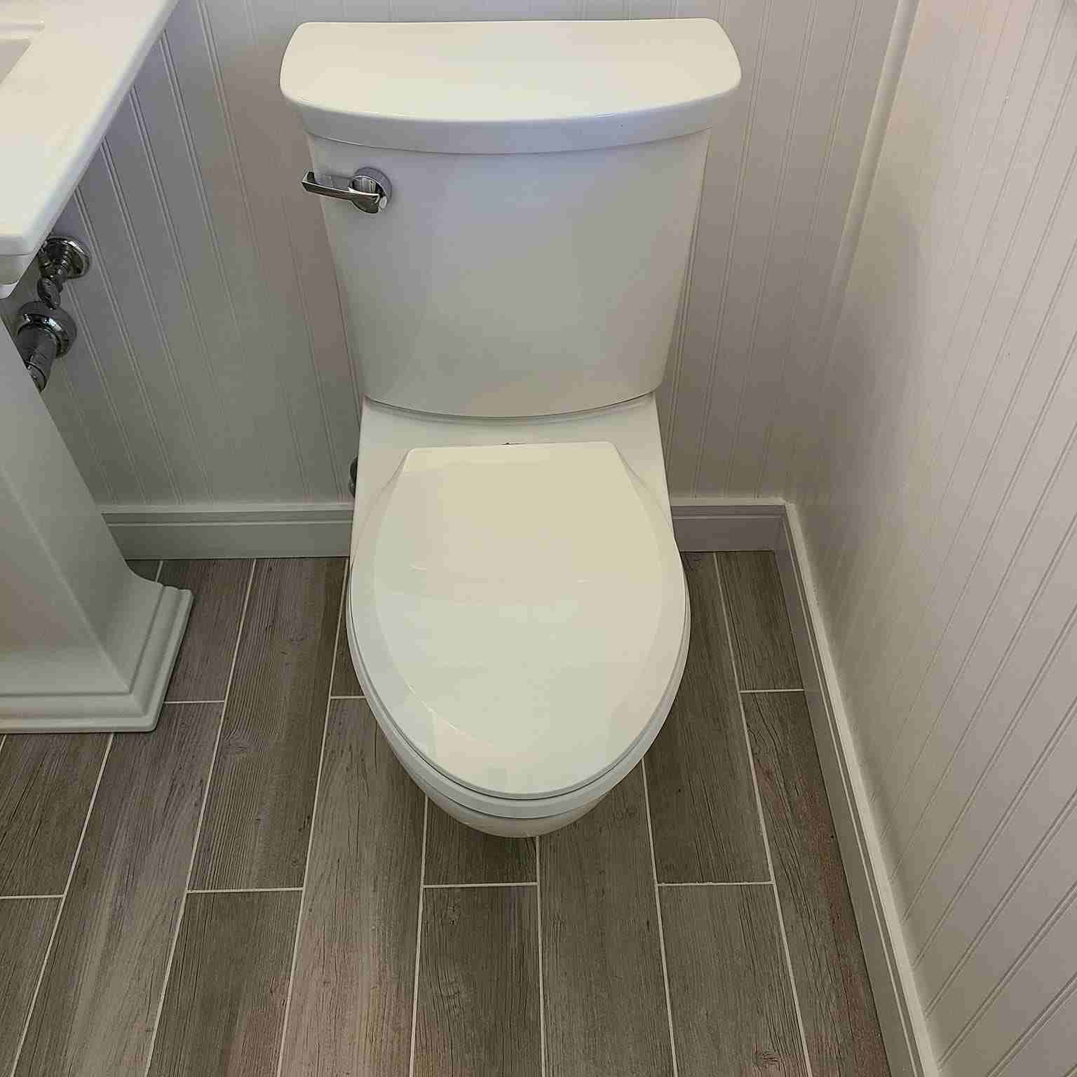 Toilet Repair and Replacement